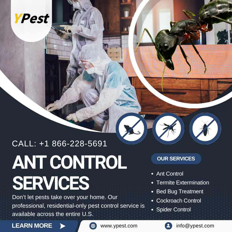 Ant Control Service Company in San Marcos, California Near Me: Call (888) 217-3407