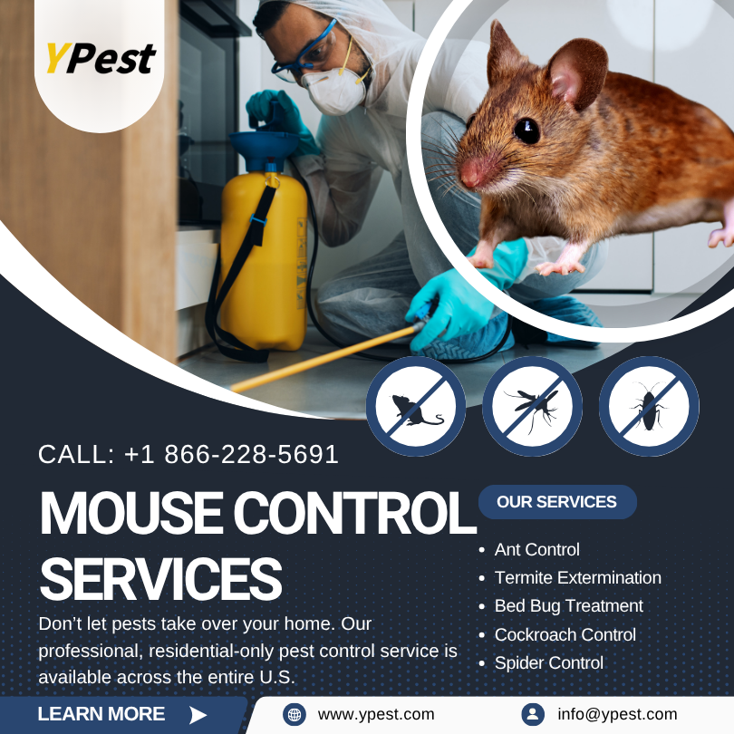 Mouse Control Service Company in San Marcos, California Near Me, Call (888) 217-3407