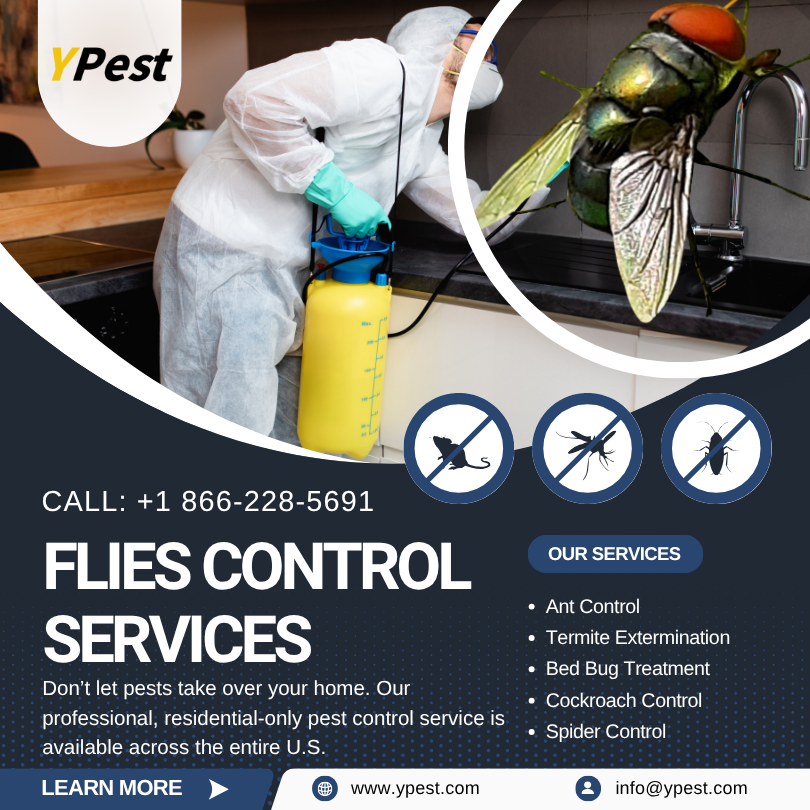 Flies Control Service Company in San Marcos, California Near Me, Call (888) 217-3407