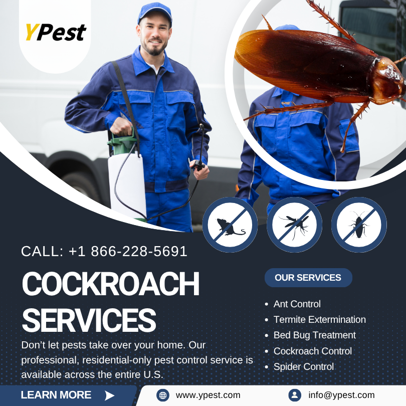 Cockroach Control Service Company in San Marcos, California Near Me, Call (888) 217-3407