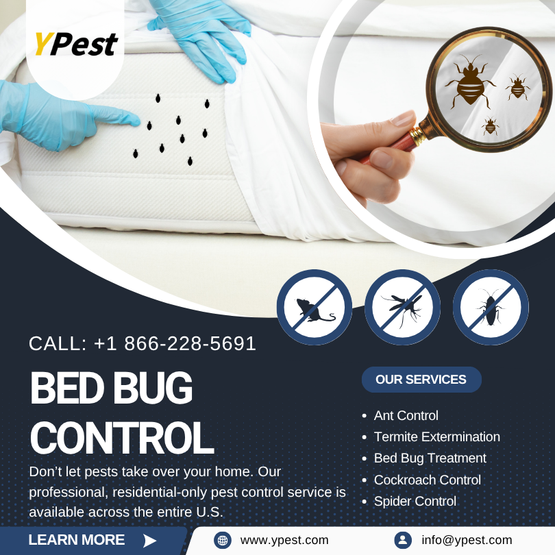 Bed Bug Control Service Company in San Marcos, California Near Me, Call (888) 217-3407