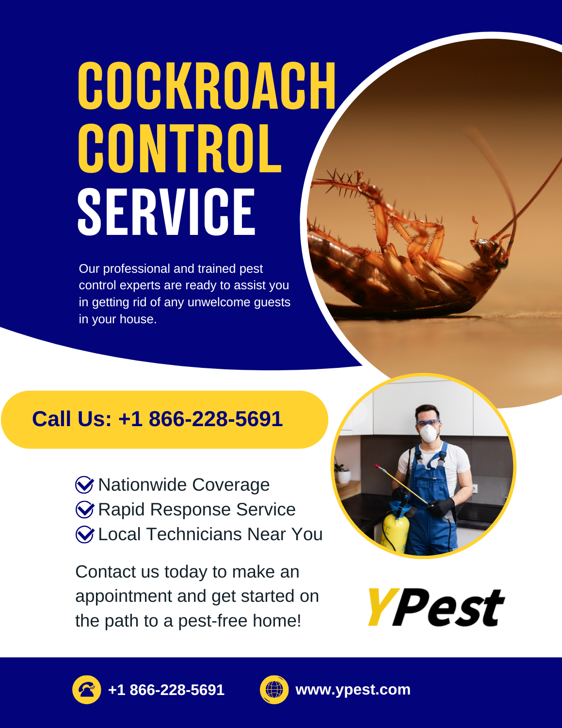 Cockroach Control Service Company in San Marcos, California Near Me, Call (888) 217-3407